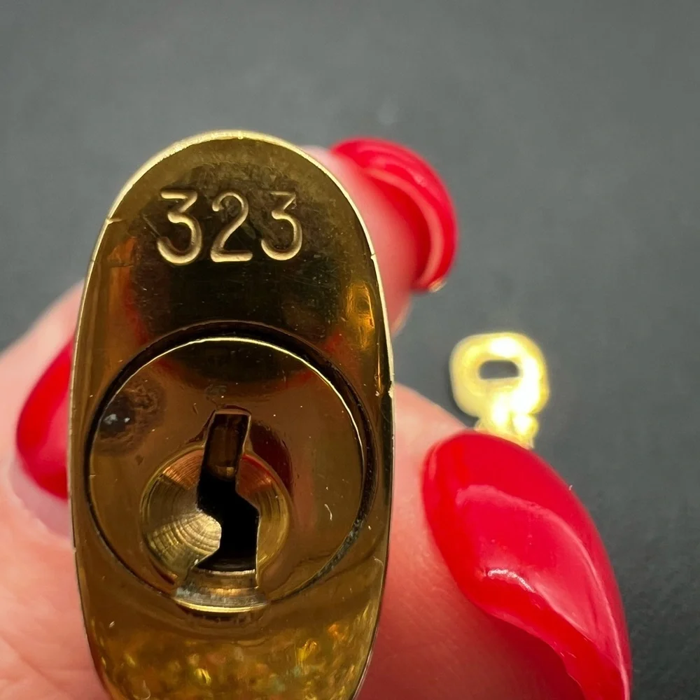 Louis Vuitton Lock and Key #323